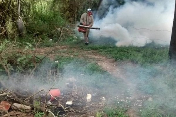 Chaco: Hay 48 casos confirmados de Zika y 170 estudiados