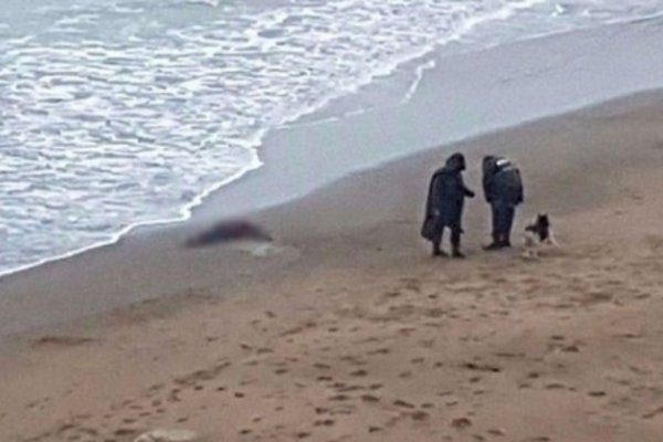 Encontraron el cuerpo de una mujer en la playa de Mar del Plata