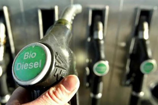 Las exportaciones de biodiesel crecieron 59% durante el primer cuatrimestre