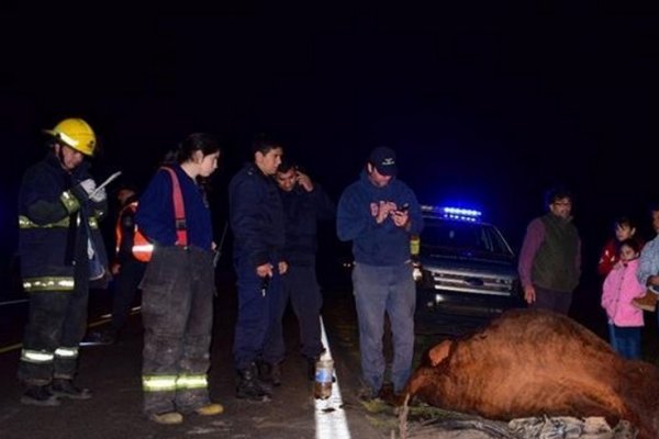 Mercedes: Camioneta quedó destruida al atropellar a un toro