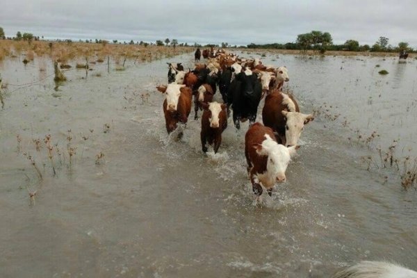 Nación decreta la emergencia agropecuaria para Corrientes