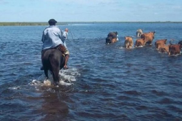 Amenazan con desalojar a pobladores del Iberá