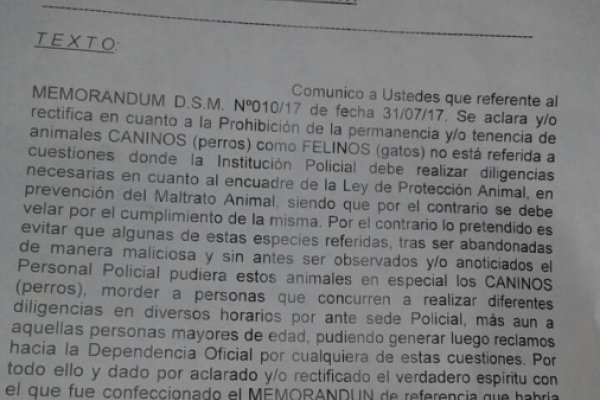 Polémico memorándum: Comisario enojado con Cartucho, el perro condecorado por la Policía