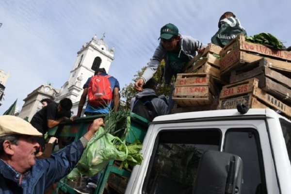 Bananazo: regalarán 30 toneladas para protestar por la crisis del sector