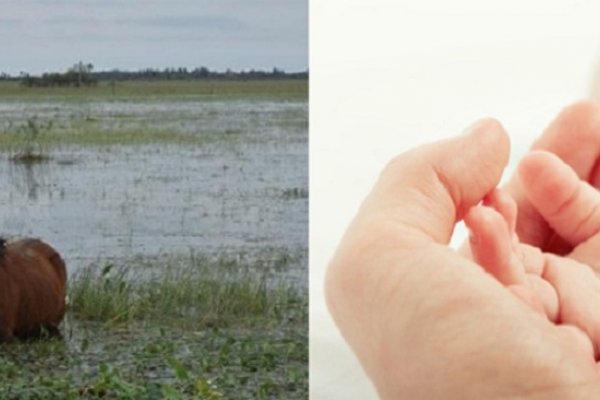 Mortalidad infantil e inundaciones, el drama en Corrientes