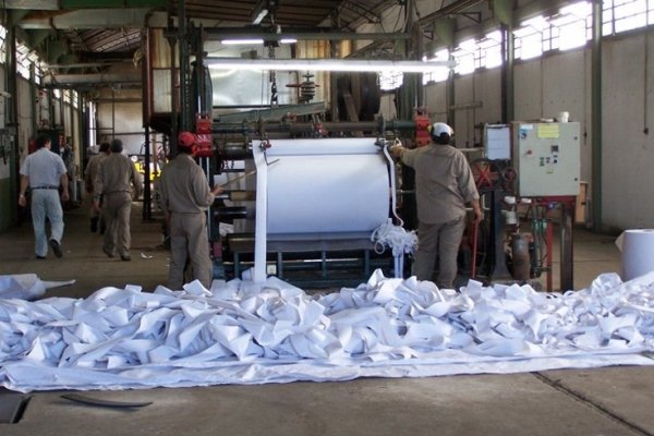 Plantean regular artículo 61 de la Constitución para atraer industrias pasteras a Corrientes