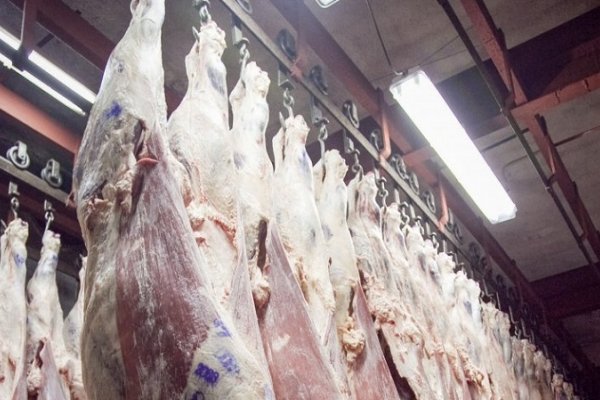 Piden que el Gobierno intervenga el precio de la carne