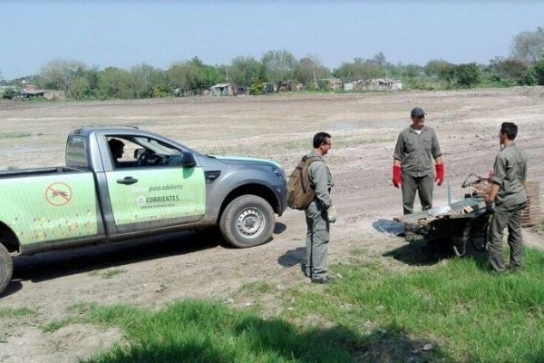 Realizaron descacharrado y tareas de prevención de dengue en La Olla