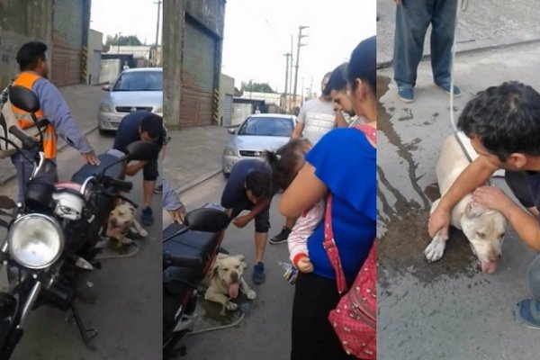 Arrastró a su perro con la moto y lo pararon los vecinos