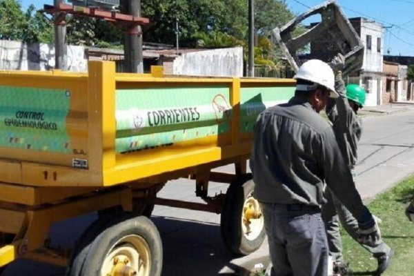 Continúan las tareas de descacharrado en la capital correntina