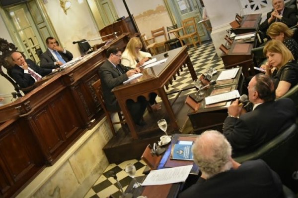 Senado impulsa ley para la autonomía  energética e igualdad de tratamiento