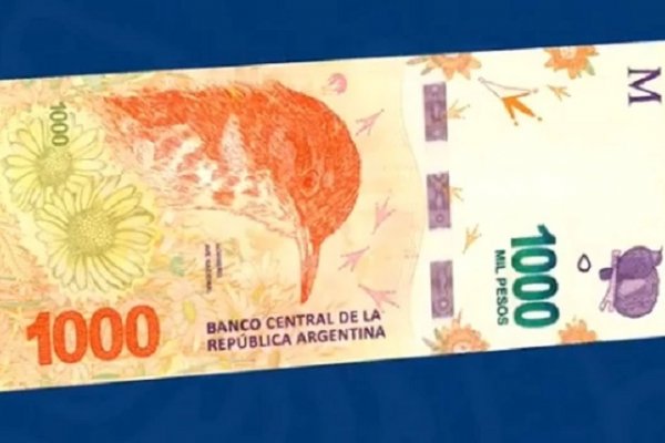 Presentaron el billete de 1.000 pesos con la imagen del hornero