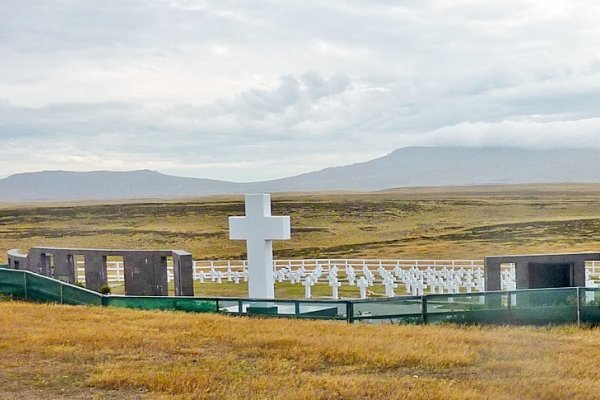 Malvinas: Identificaron 88 restos de soldados argentinos muertos