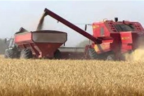 Advierten que los costos del campo crecieron más de $ 3.000 M por la suba del combustible