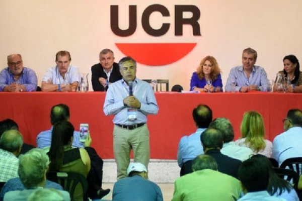 El mendocino Alfredo Cornejo es el nuevo presidente de la UCR