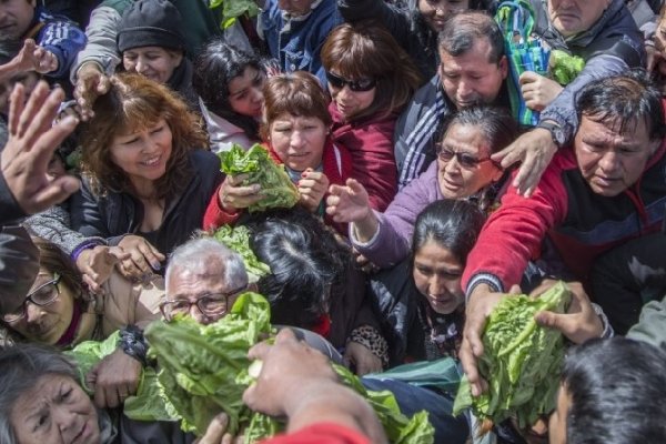 Preparan un verdurazo para ayudar a los jubilados