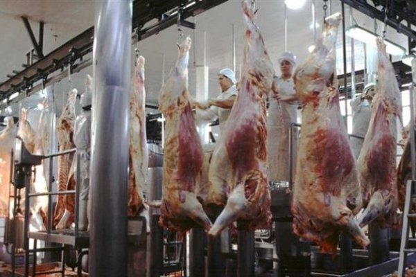 Las exportaciones de carne vacuna crecieron 30% en noviembre