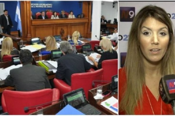 La Diputada García Amud deberá hacer su descargo sobre los pedidos de remoción