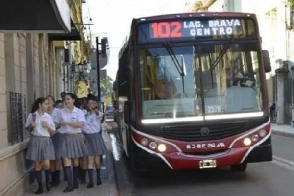 Preocupa demora en la habilitación del Boleto Estudiantil Gratuito