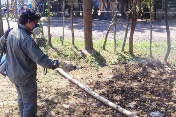 Leishmaniasis: se realizó un bloqueo vectorial en el San Roque Este