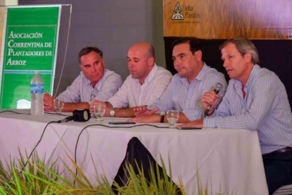 Valdés inauguró la cosecha de arroz y convocó al sector a trabajar juntos por la provincia