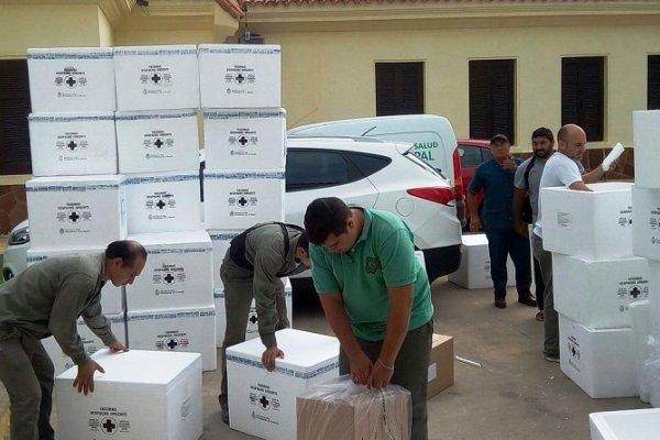 Corrientes recibió las vacunas antigripales