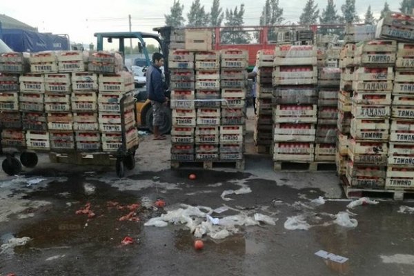 Correntinos tiran el tomate porque los costos no paran de subir y les pagan 1,50 pesos por kilo