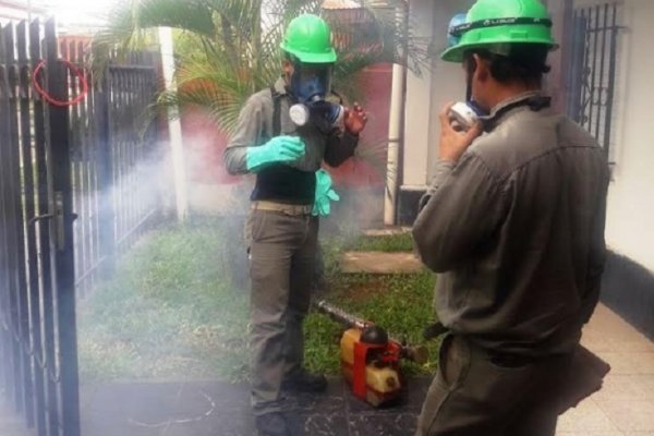 Corrientes: continúan las tareas contra el dengue