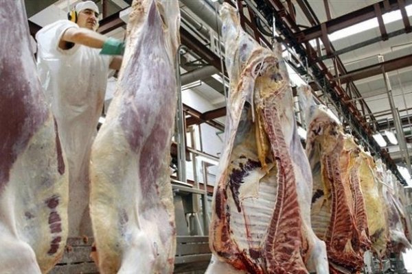 Argentina exportará carne bovina y ovina a Japón por primera vez en la historia