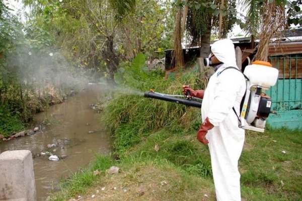 Corrientes: continúan con las tareas de prevención del dengue