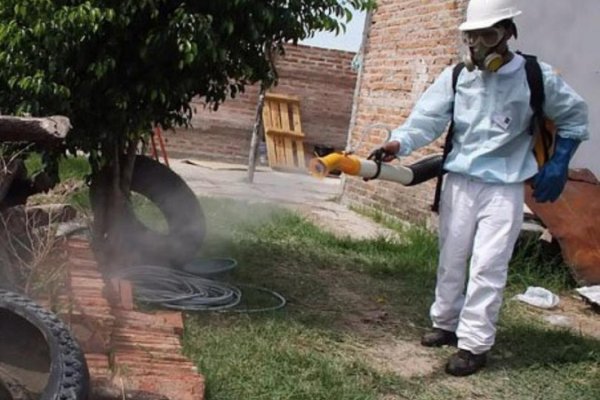 Aumentan los casos de dengue en Corrientes: ya son 131