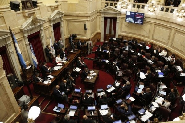 Aborto: Ahora la discusión se traslada al Senado, donde hay más resistencias