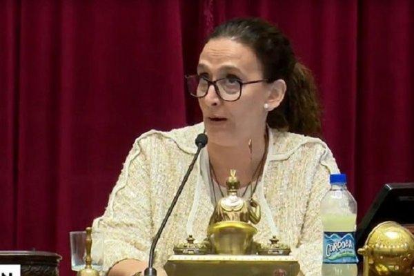 Michetti giró a cuatro comisiones el proyecto sobre aborto