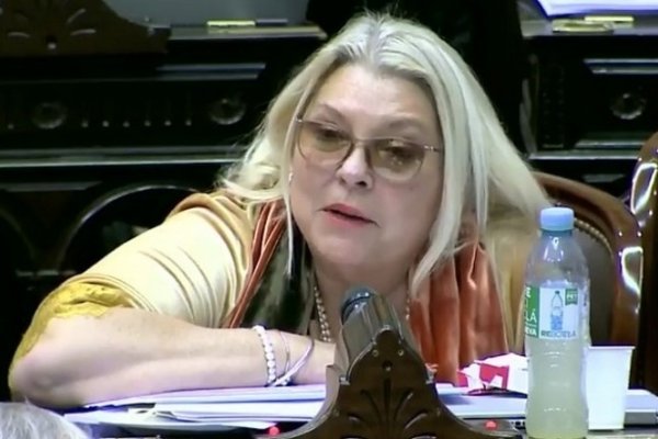 Carrió insistió en el Congreso con la importancia de las propinas y sin querer habló de coimas