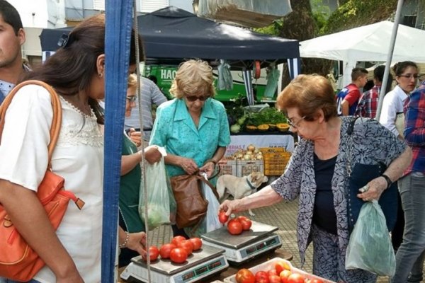 El tomate aumentó cerca de un 200% en góndolas en la última semana