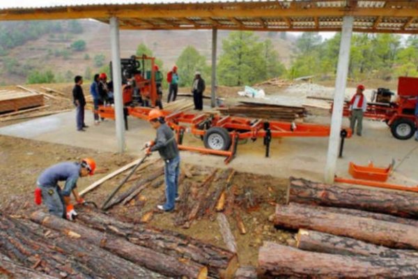 En Santa Rosa, empezaron a cerrar aserraderos por la crisis maderera