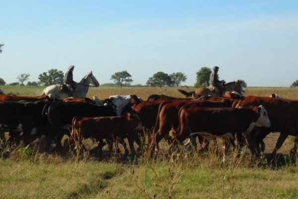 Fin del Monotributo Agropecuario afectaría a más de 9600 personas en Corrientes