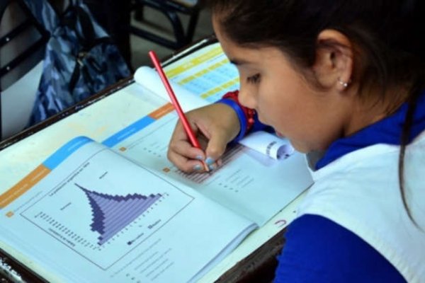 Docente de Ciencias Exactas de la UNNE colabora en la Mesa Federal de Matemática