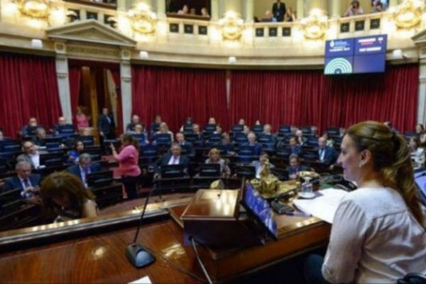 Aborto legal: a horas del dictamen, así está el poroteo en el Senado