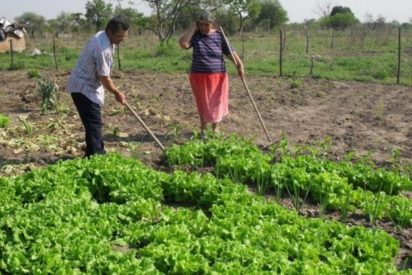 Peligra el monotributo para 10 mil agricultores familiares de Corrientes