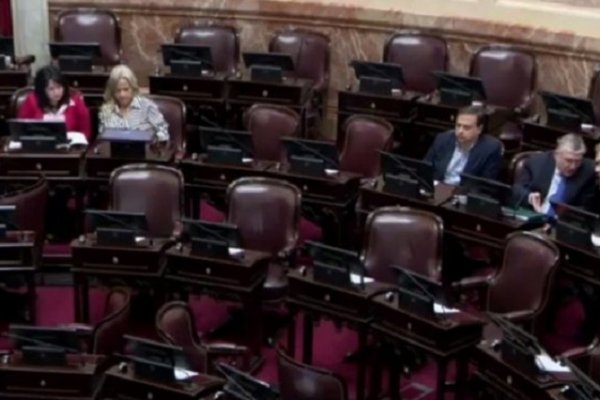 Fracasó en el Senado la sesión pedida por la oposición para tratar el tema de asignaciones familiares