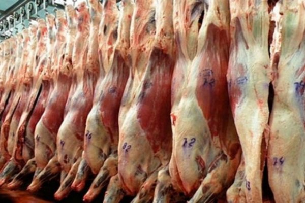 Las exportaciones de carne bovina escalaron 70% en 10 meses