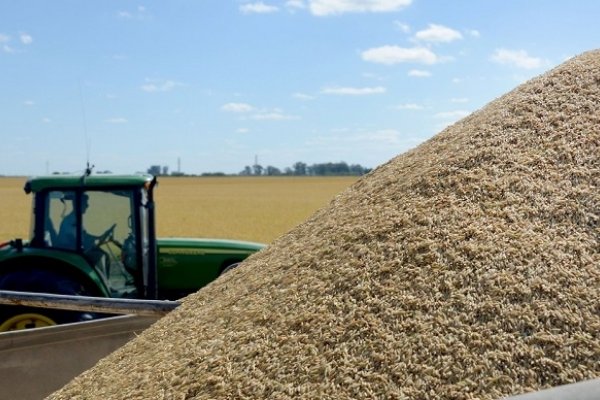 Corrientes: financiamiento del CFI para inversiones agropecuarias