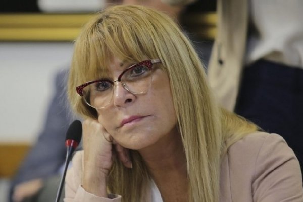 La Justicia postergó la definición sobre el procesamiento de Aída Ayala