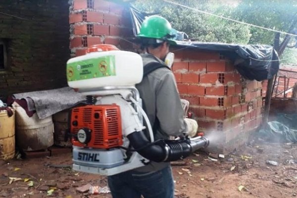 Corrientes: activan tareas de prevención de enfermedades vectoriales