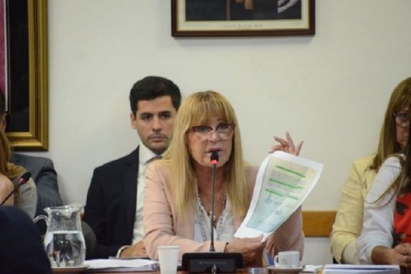 Declararon admisible que Casación revea la prisión preventiva de Aida Ayala