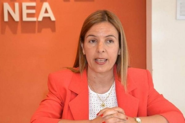 Ingrid Jetter busca la presidencia del PRO provincial