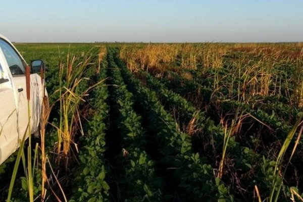 El campo vuelve a reclamar medidas para mejorar la rentabilidad