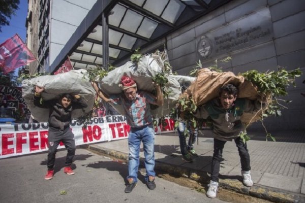 Productores yerbateros no descartan paralizar la actividad sino se acuerda el precio