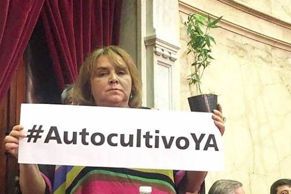 La diputada Ferreyra fue con una planta de marihuana al Congreso